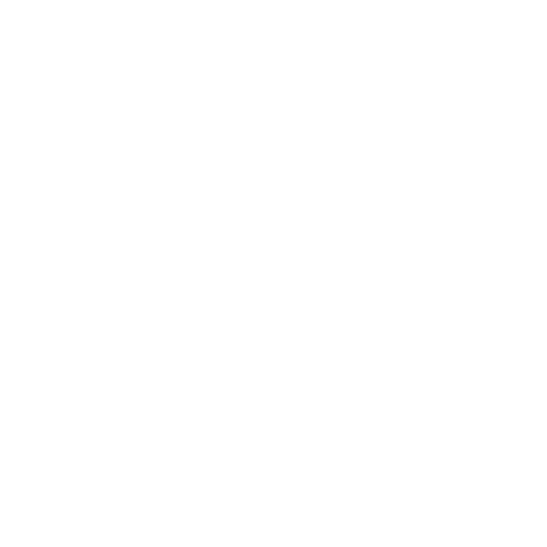 lnf hipster