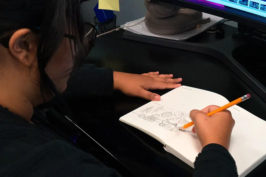 professional animator 2d drawing skills