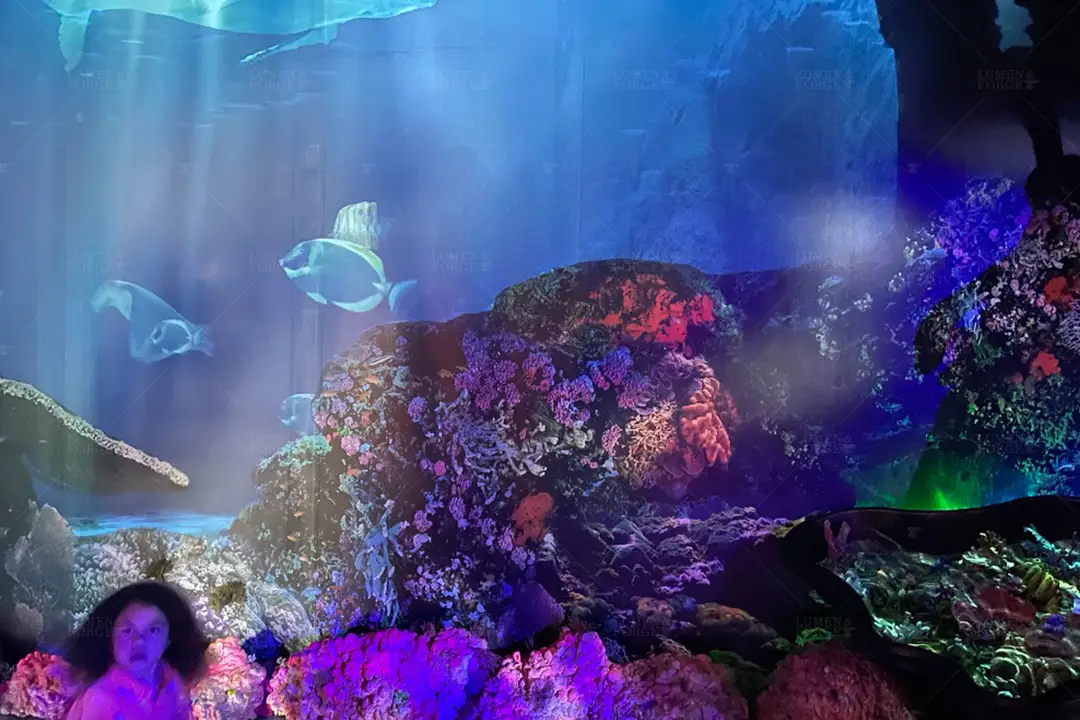 toro verde oceanic odyssey